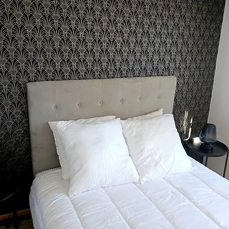 Centre Vue Sur Les Pyrenees Pour 2 Nuits Au Minimum Apartment Pau