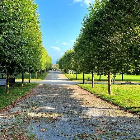 Centre Vue Sur Les Pyrenees Pour 2 Nuits Au Minimum ポー