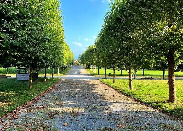 Centre Vue Sur Les Pyrenees Pour 2 Nuits Au Minimum Pau